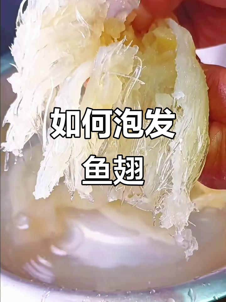 鱼翅泡发技巧大揭秘，轻松做出完美干鱼翅
