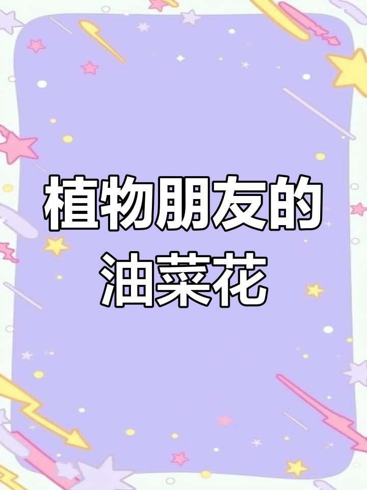 油菜花,我的植物朋友,三年级作文素材