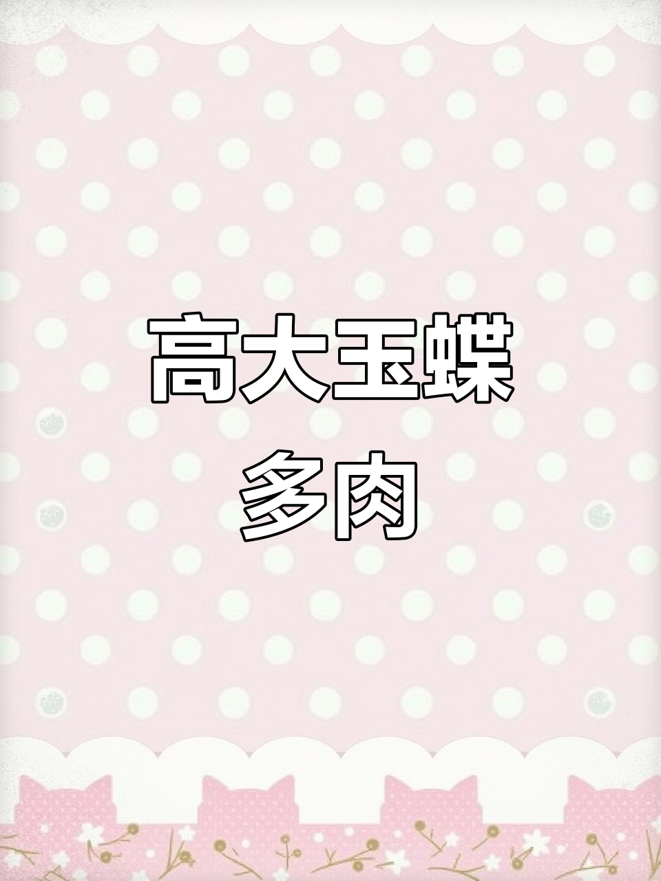 云南野生多肉玉蝶，高大的叉状身躯让人惊叹