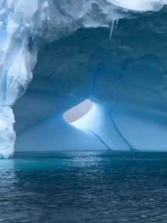 南极企鹅萌萌哒 去南极旅游看企鹅喽 南极 南极旅游 企鹅