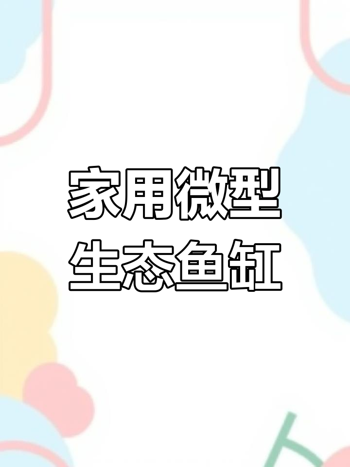 打造微景观鱼缸,轻松享受生活乐趣