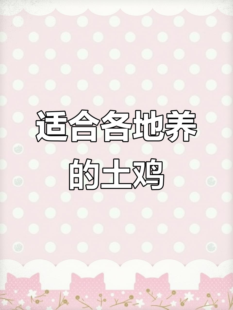 农村散养乌骨鸡，全国各地适宜养殖，创业新机会
