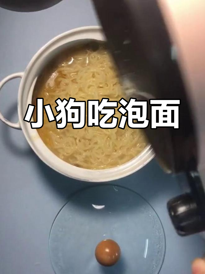 康师傅雪菜肉丝煨面,小狗蔡的泡面时光