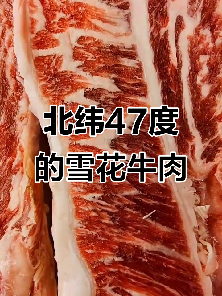 齐齐哈尔北纬47度,雪花牛肉的家乡味