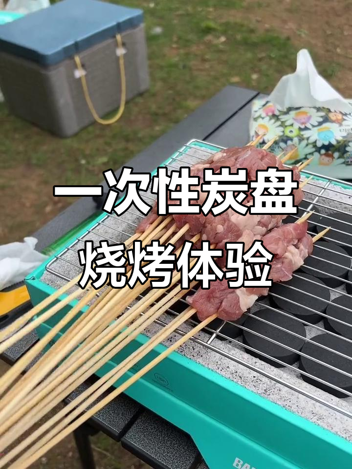户外烧烤必备!一次性炭盘让你轻松烤串,烟少又环保