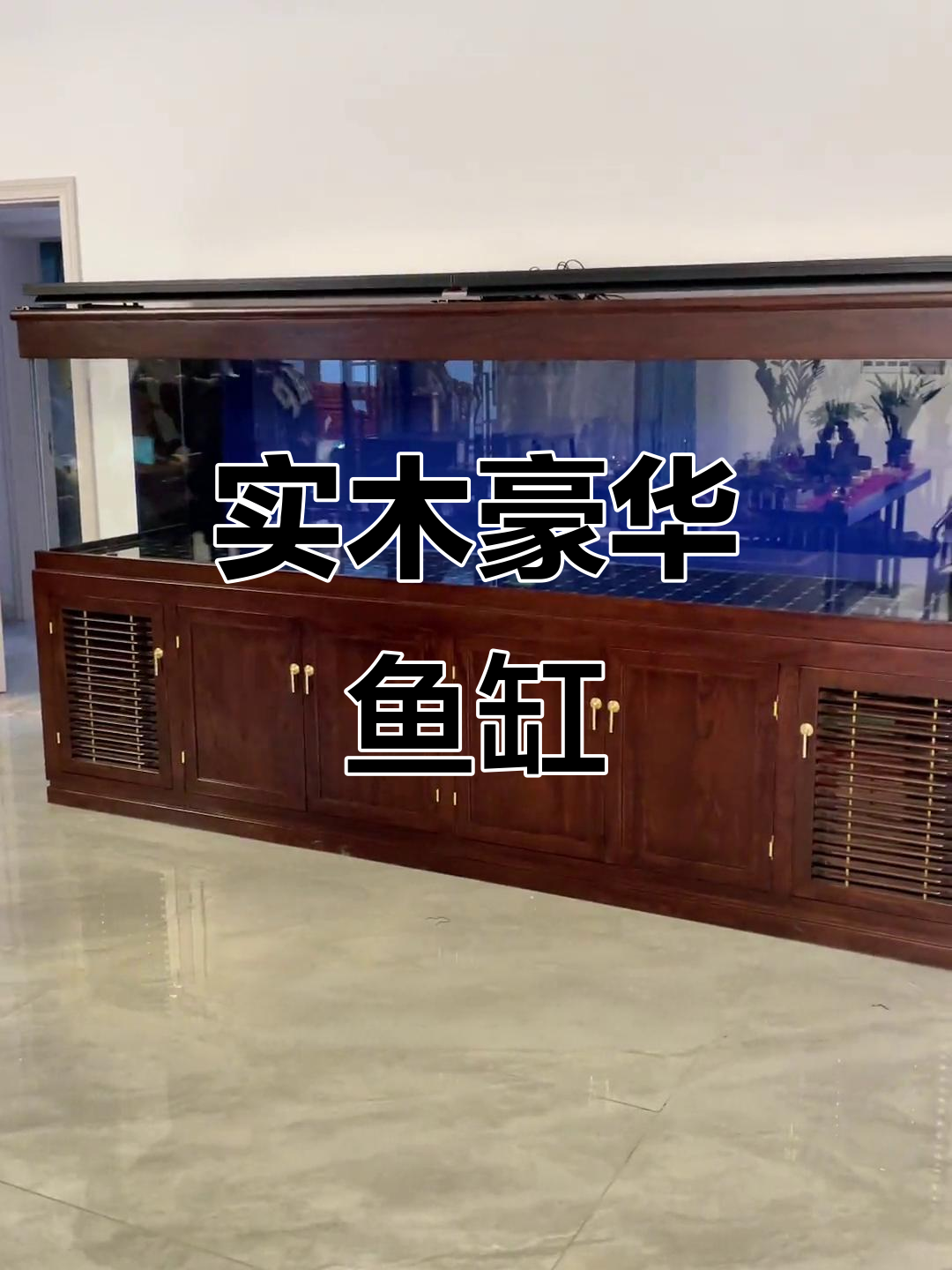 精美实木鱼缸,适合客厅或办公室,龙鱼尽显奢华