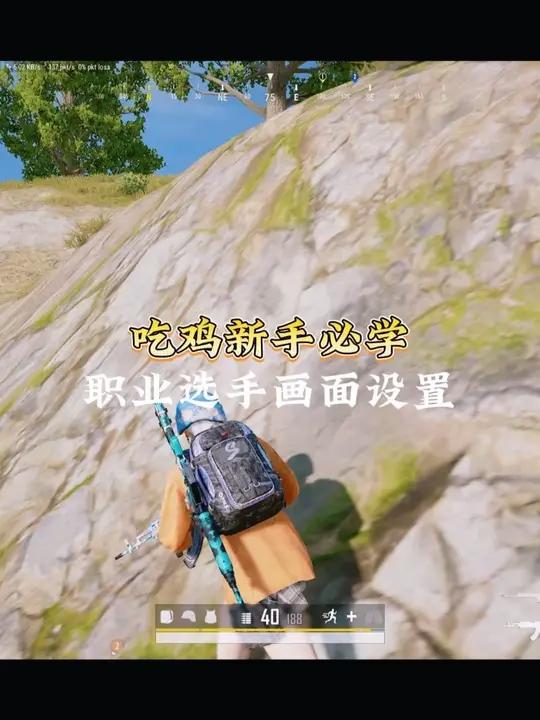 吃鸡新手必学-职业选手画面设置 这套职业选手画面设置赶紧学起来,从此不再是路边一条