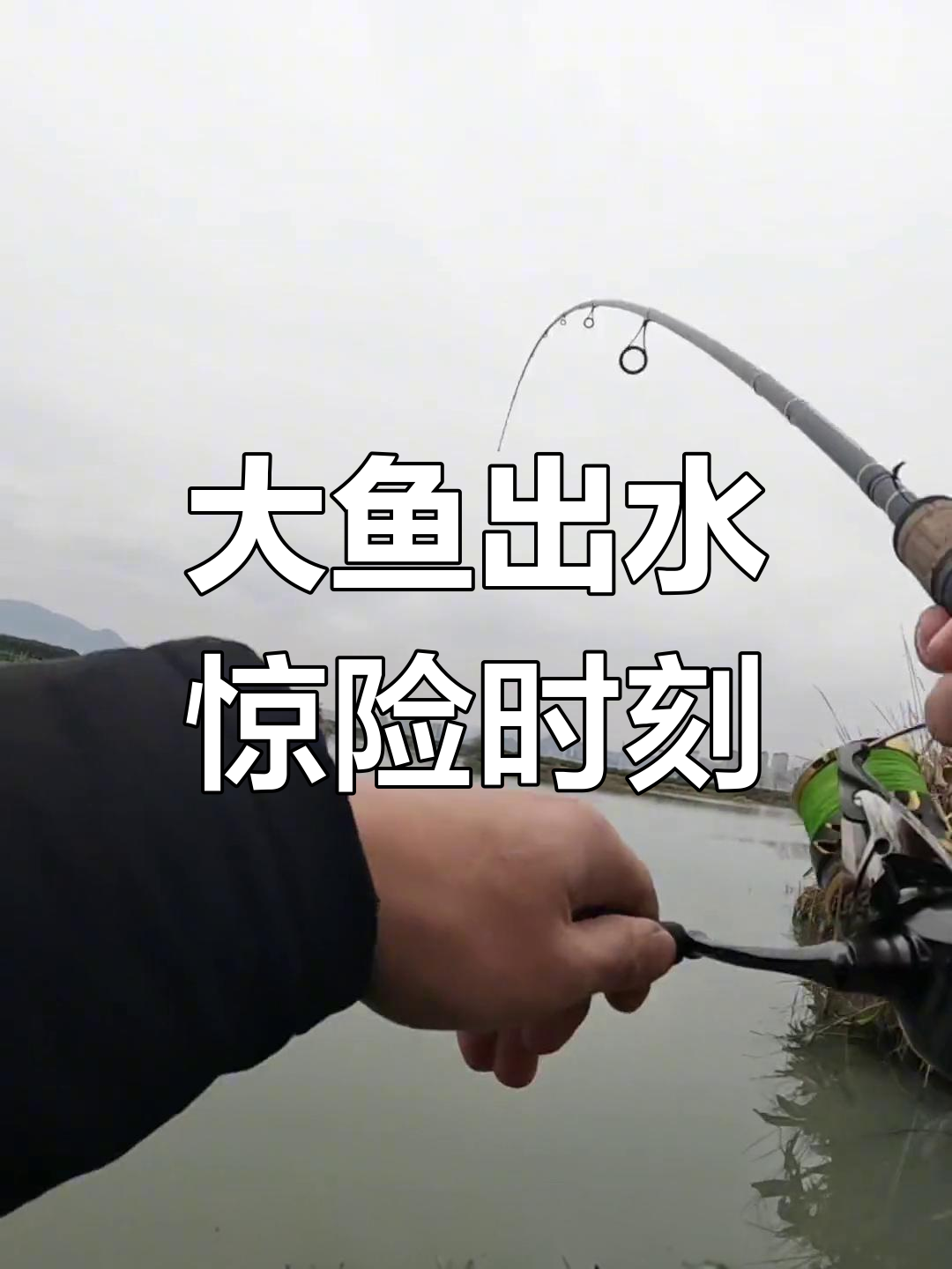 轮子一响,翘嘴飞出水面!大鱼摆尾瞬间惊艳