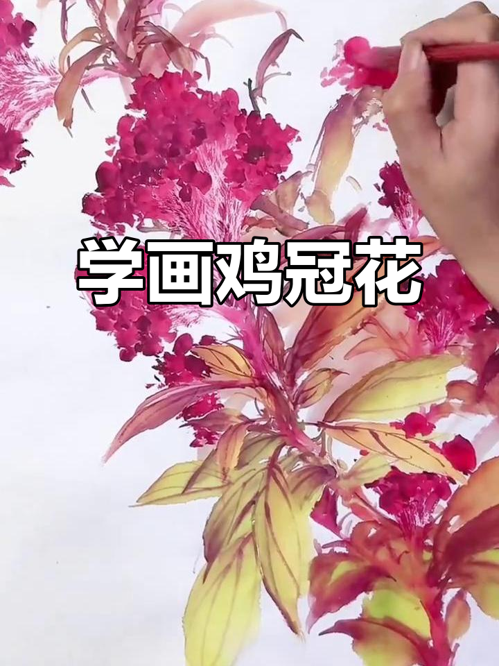 鸡冠花国画技巧解析,轻松掌握