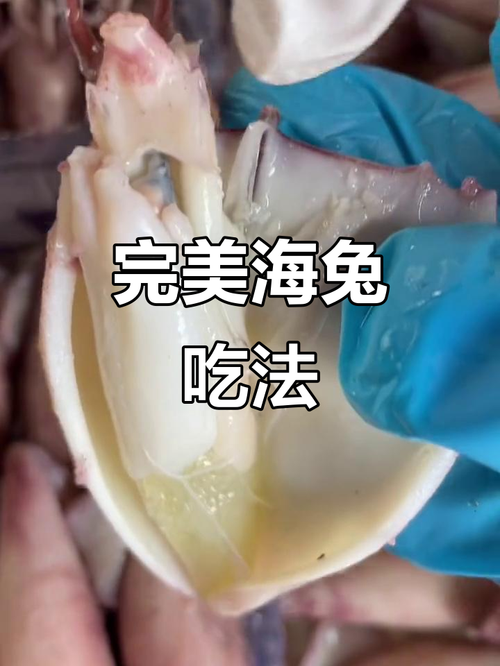 海兔全解:哪些能吃,哪些不能吃?