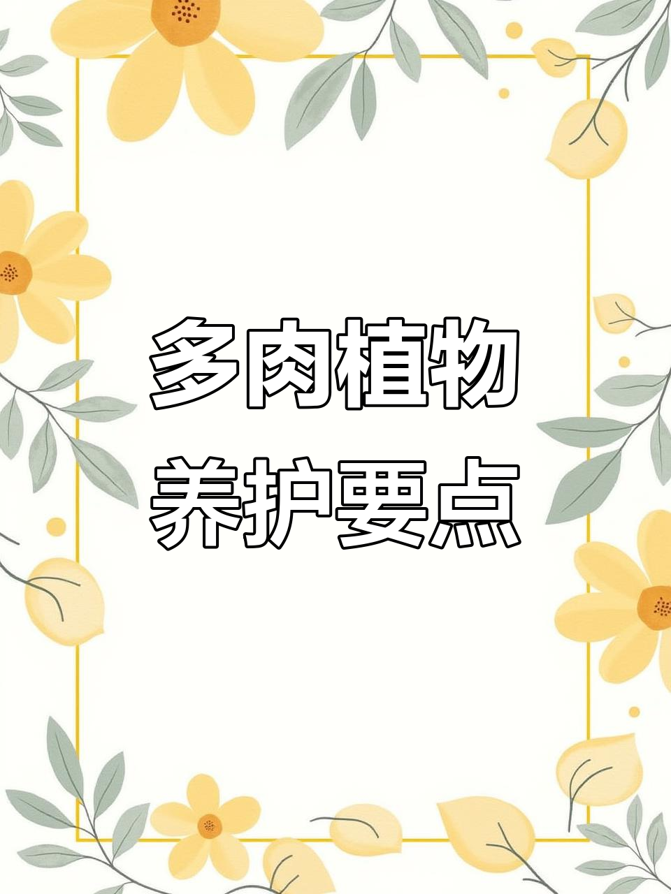 多肉植物养护技巧,薄叶三仙与广寒宫的美丽秘诀