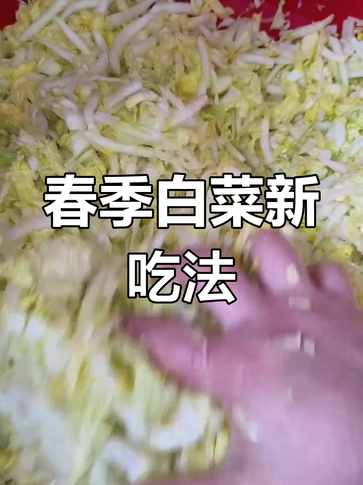 春天白菜别浪费,酸菜做法更美味!