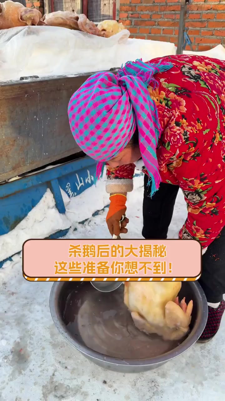 杀鹅后的大揭秘,这些准备你想不到!