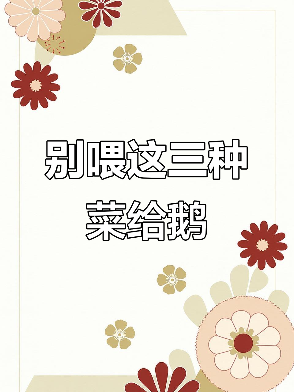 鹅不能吃的三种蔬菜,误食可能致命