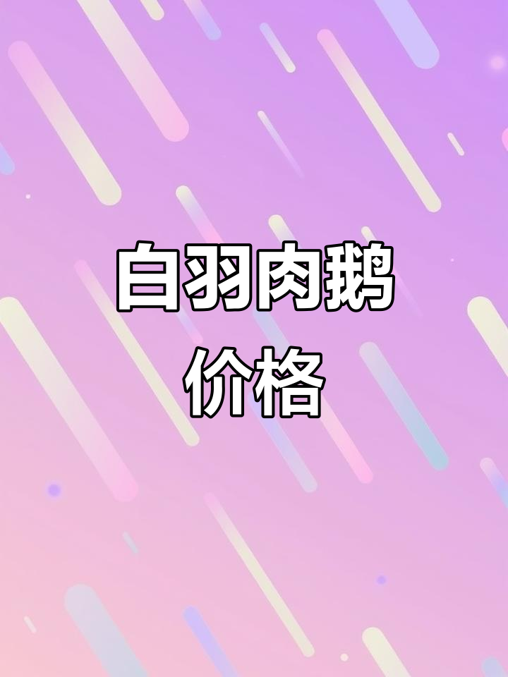 2023年白羽鹅出栏价格,了解市场行情