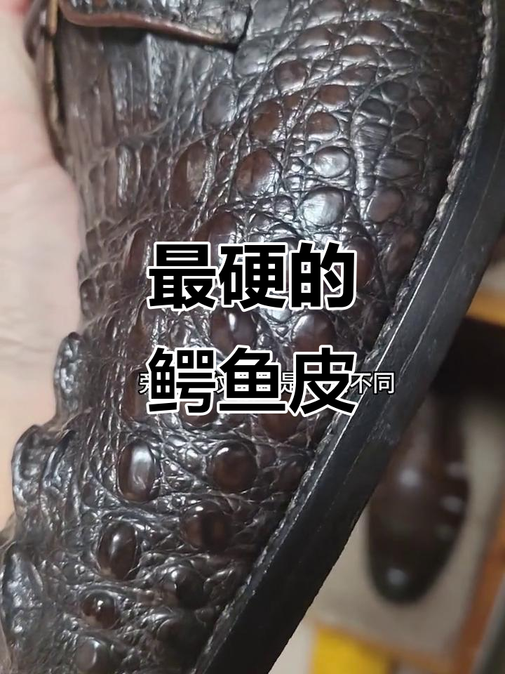 鳄鱼皮中最难做的材料,硬得像石头一样