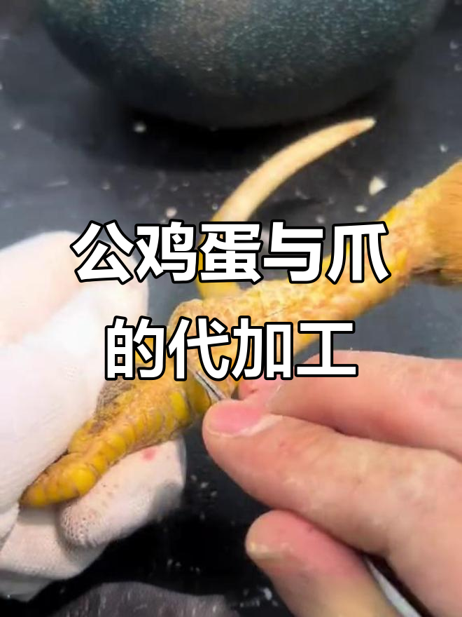 十二年公鸡爪变手把件,传承三代的手工技艺