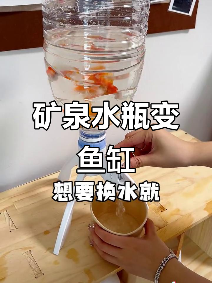用矿泉水桶做鱼缸,省心又环保!