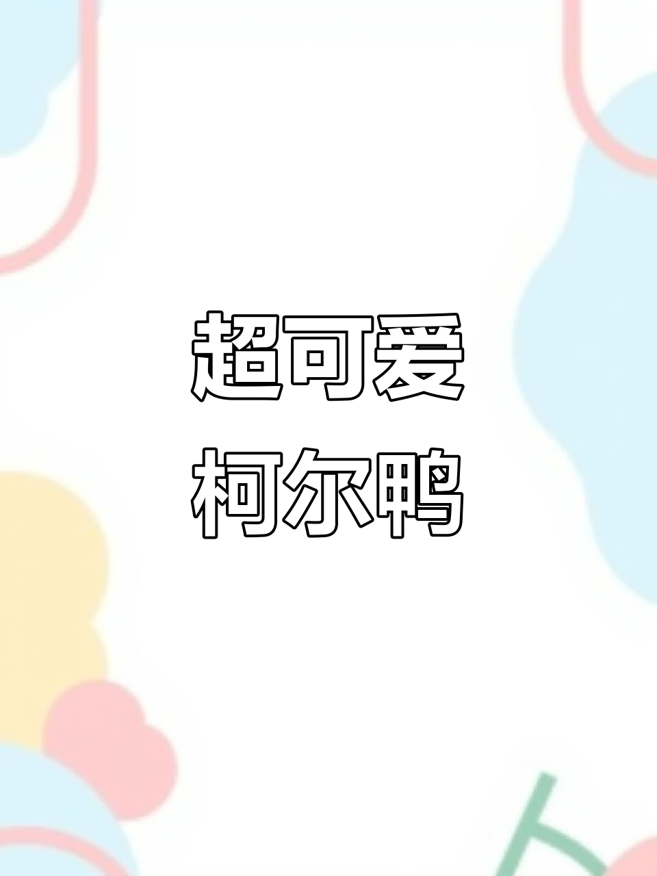 柯尔鸭：超萌宠物，粘人又搞笑