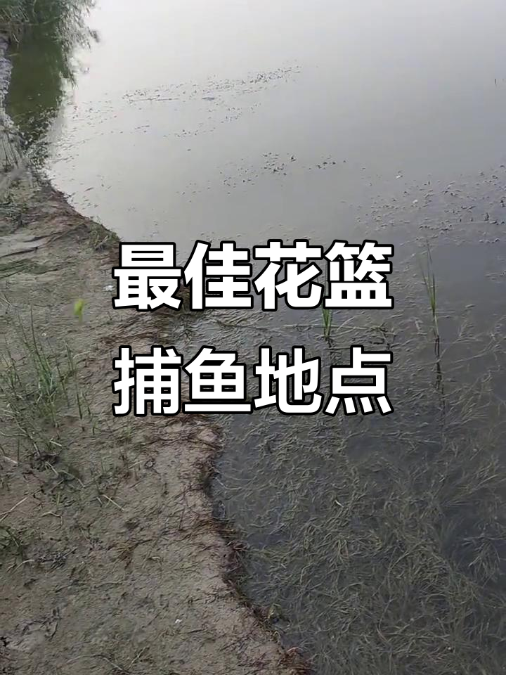 在断流大河找到放花篮捕鱼的最佳位置，轻松捕捉美味