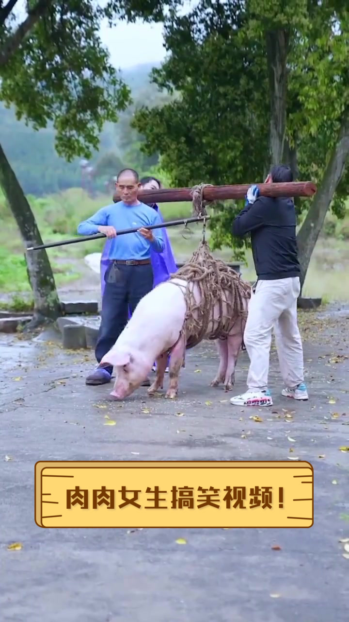 肉肉女生搞笑视频!