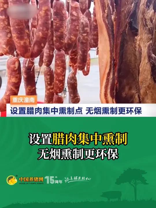 设置腊肉集中熏制!无烟熏制更环保!