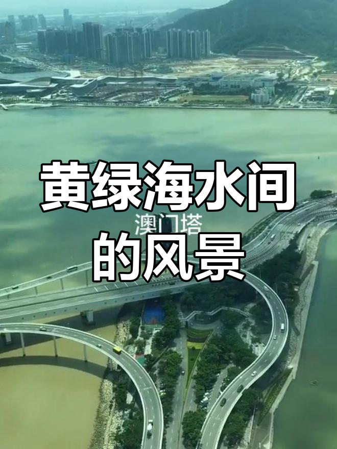 站在澳门塔,海景一半黄绿交织
