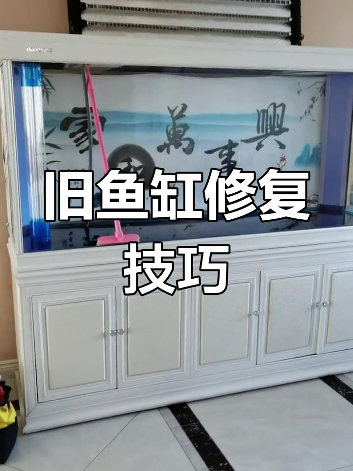 鱼缸维修大揭秘:拉筋断裂、女马桶系统安装全过程