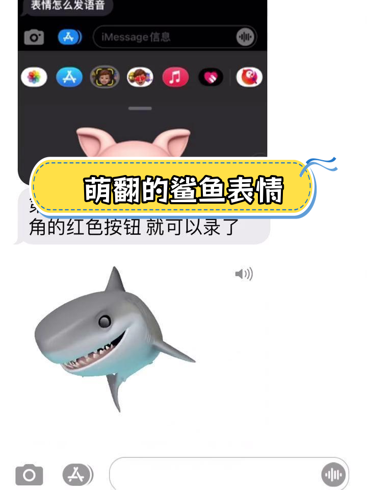 可爱鲨鱼表情包分享