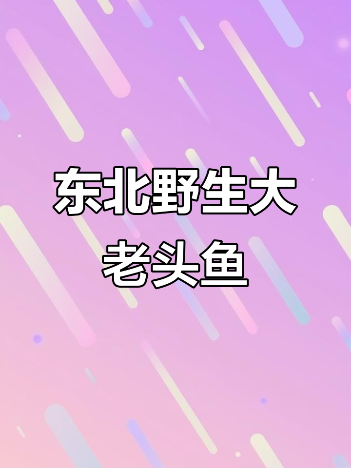 正宗东北野生大老头鱼,酱炖美味不容错过