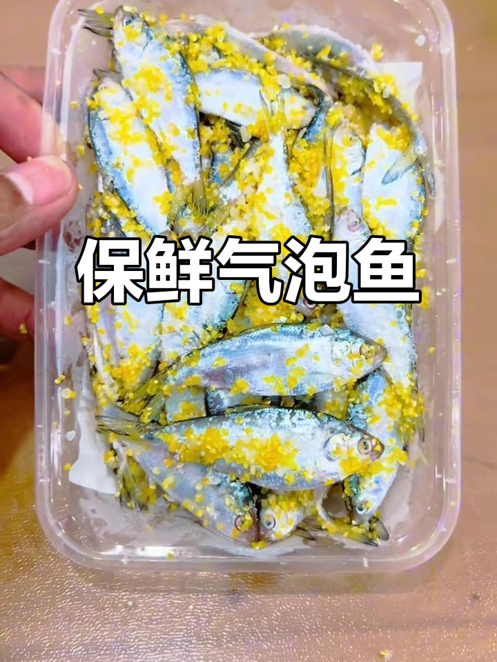 7月气泡鱼,腌制速冻处理,保存半年仍新鲜