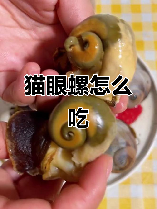 猫眼螺哪些部位能吃?教你轻松去除不能吃的部分