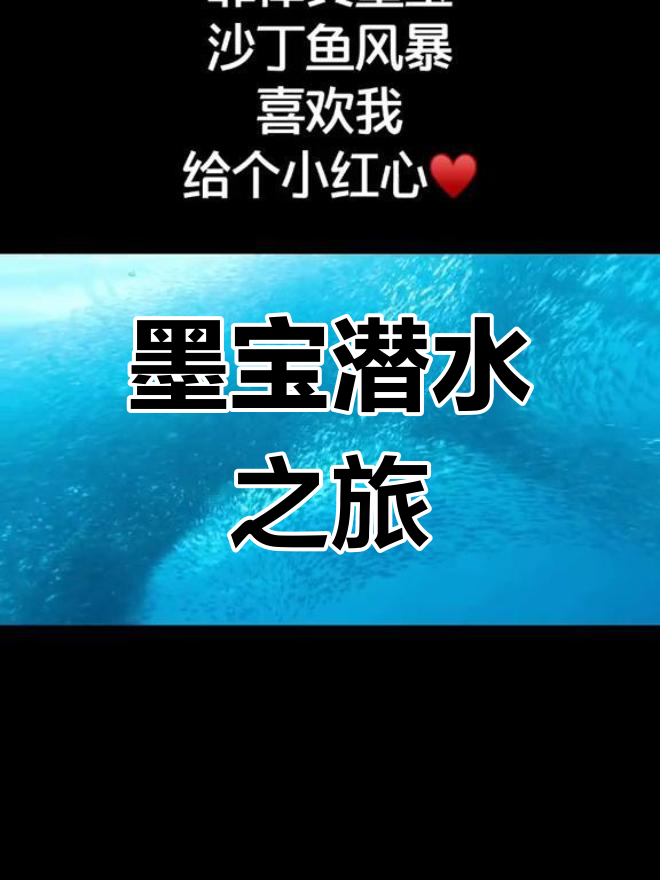 菲律宾墨宝潜水探秘:沙丁鱼风暴奇观