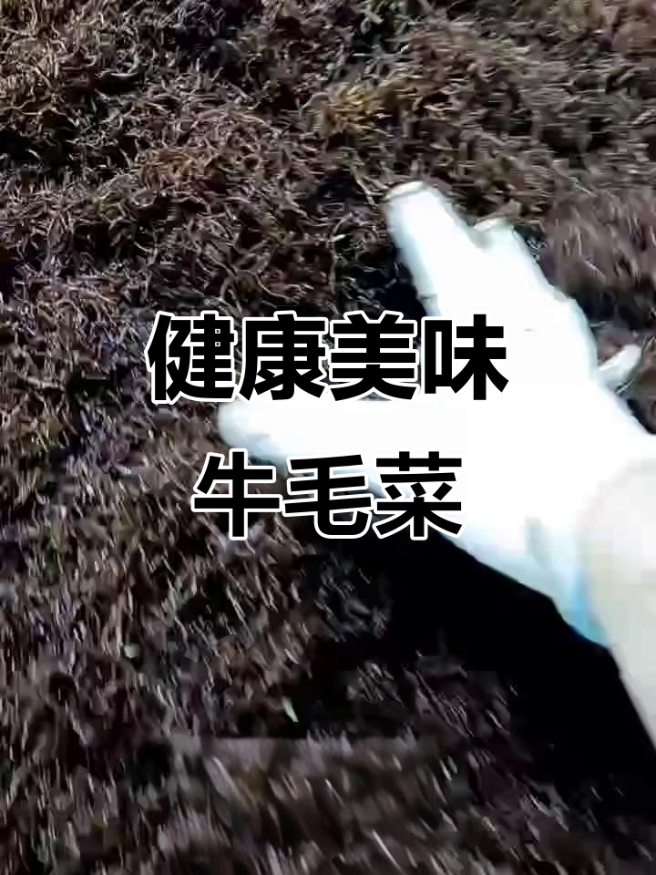 牛毛菜汤、蒸蛋羹,女性常吃有益健康