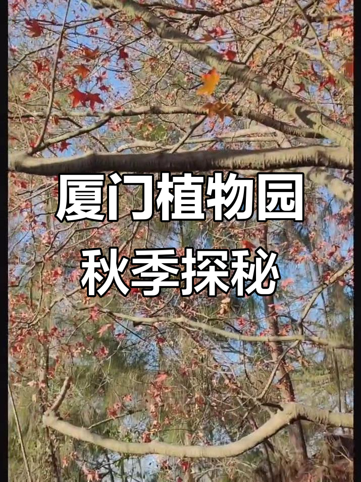 11月厦门植物园寻秋,红枫叶难觅多肉超萌