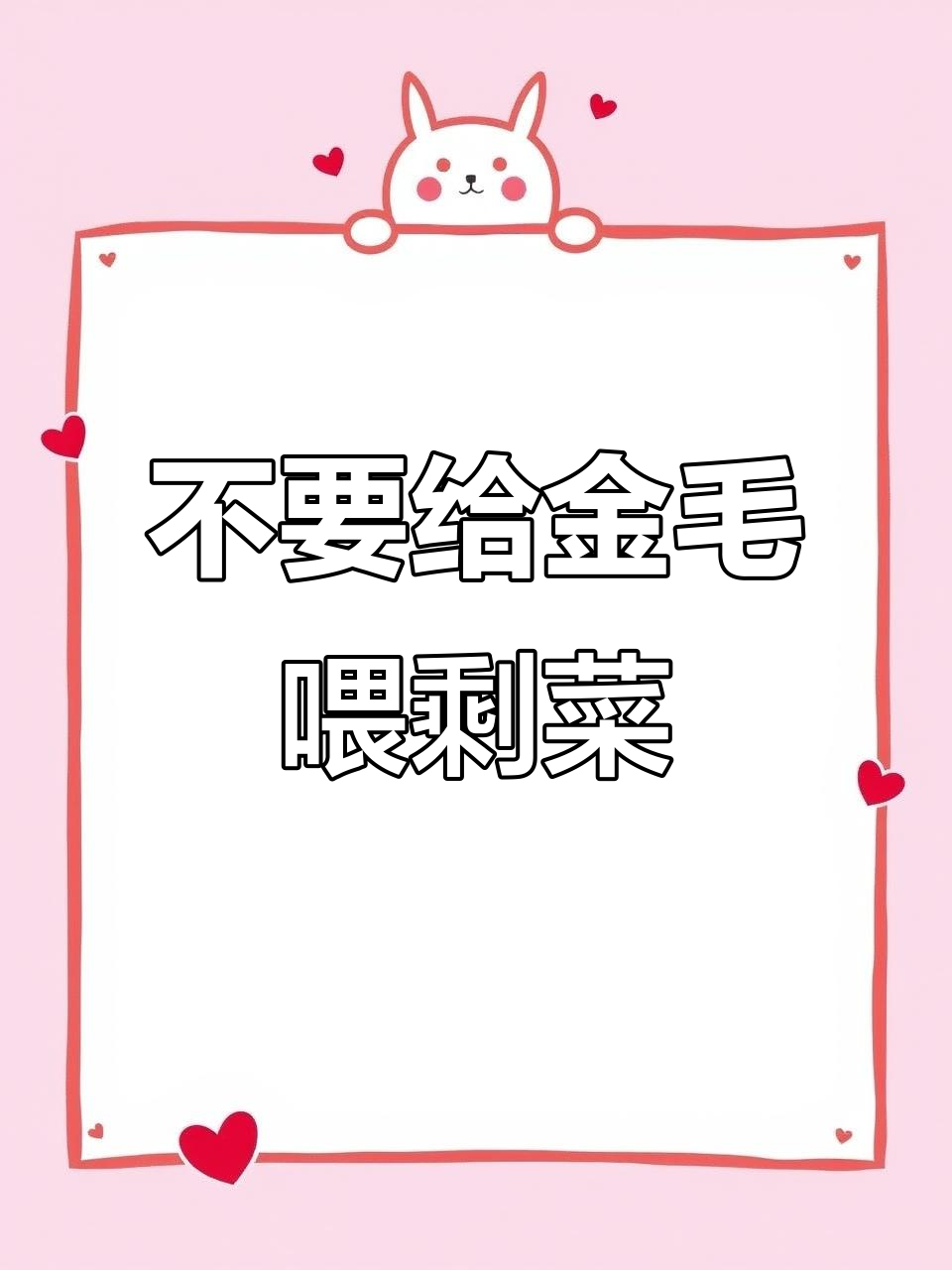 金毛吃剩饭的危害,如何正确喂食?