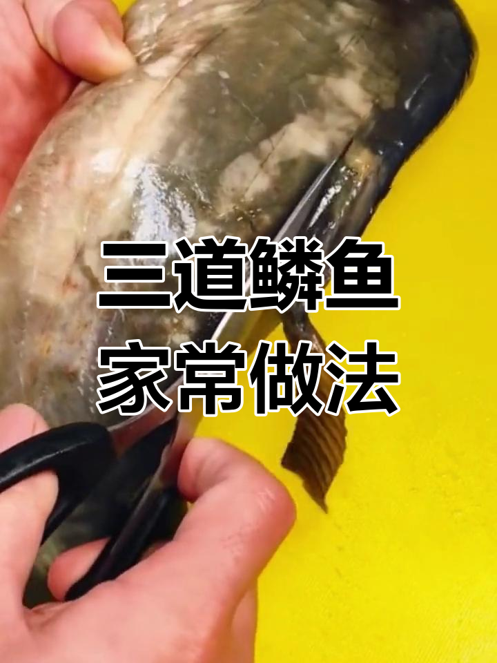 简单素食美味,三道鳞鱼炖法大揭秘