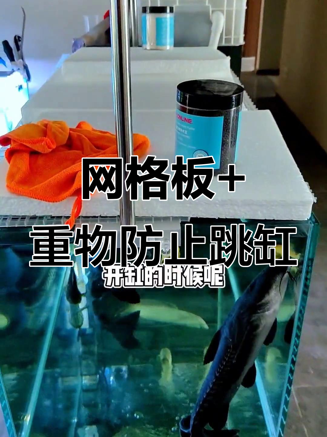 防跳板和过滤器安装全攻略,鱼缸不再有意外