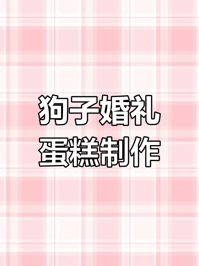 狗狗婚礼蛋糕大作战,彩彩亲手制作美味惊喜!