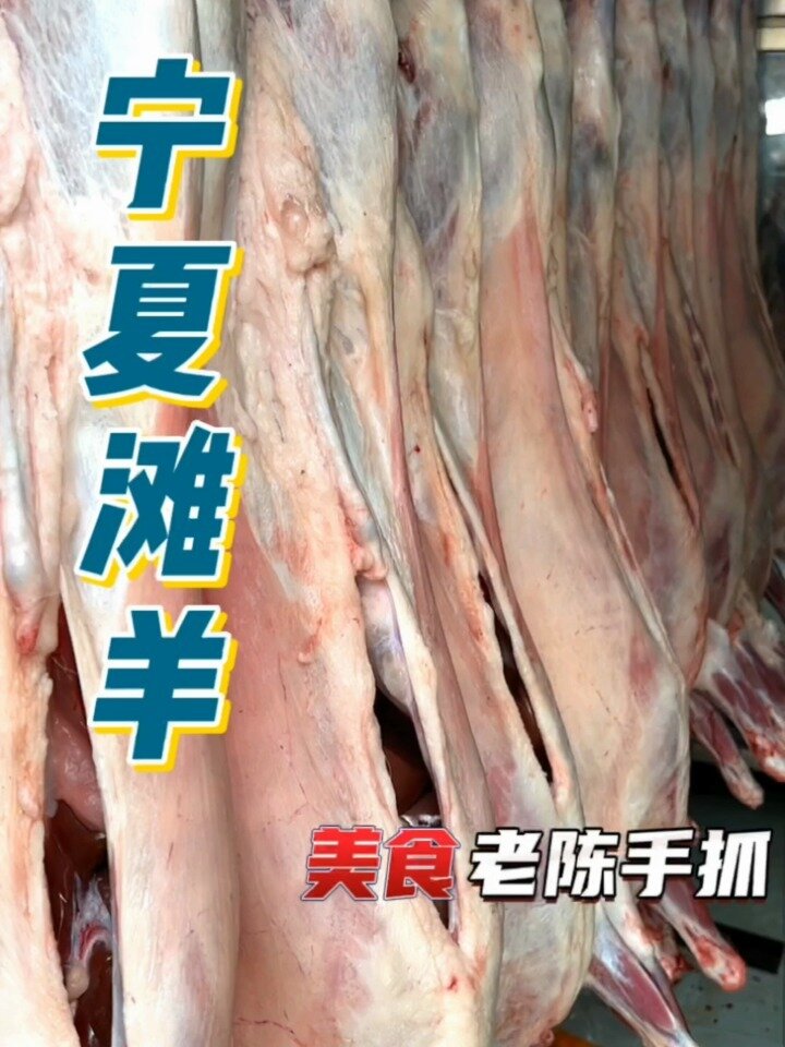 羊的哪个部位最好吃
