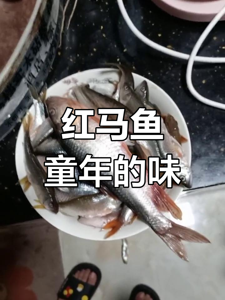 姐夫送的红马鱼,童年味道回来了