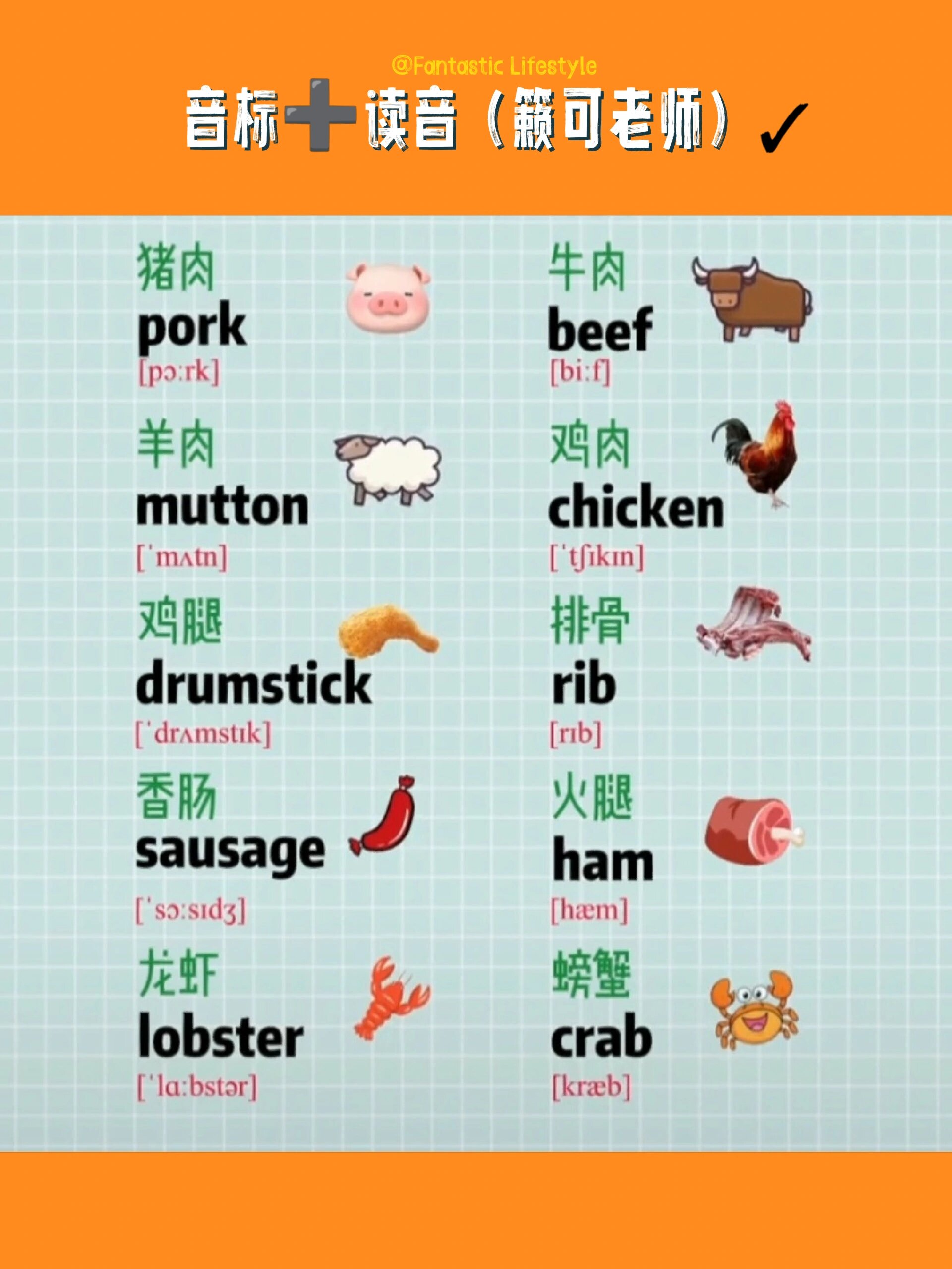英语发音 / 肉类英语单词合集