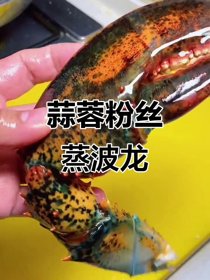 东北夜宵必备!蒜蓉粉丝蒸波龙,做法超简单