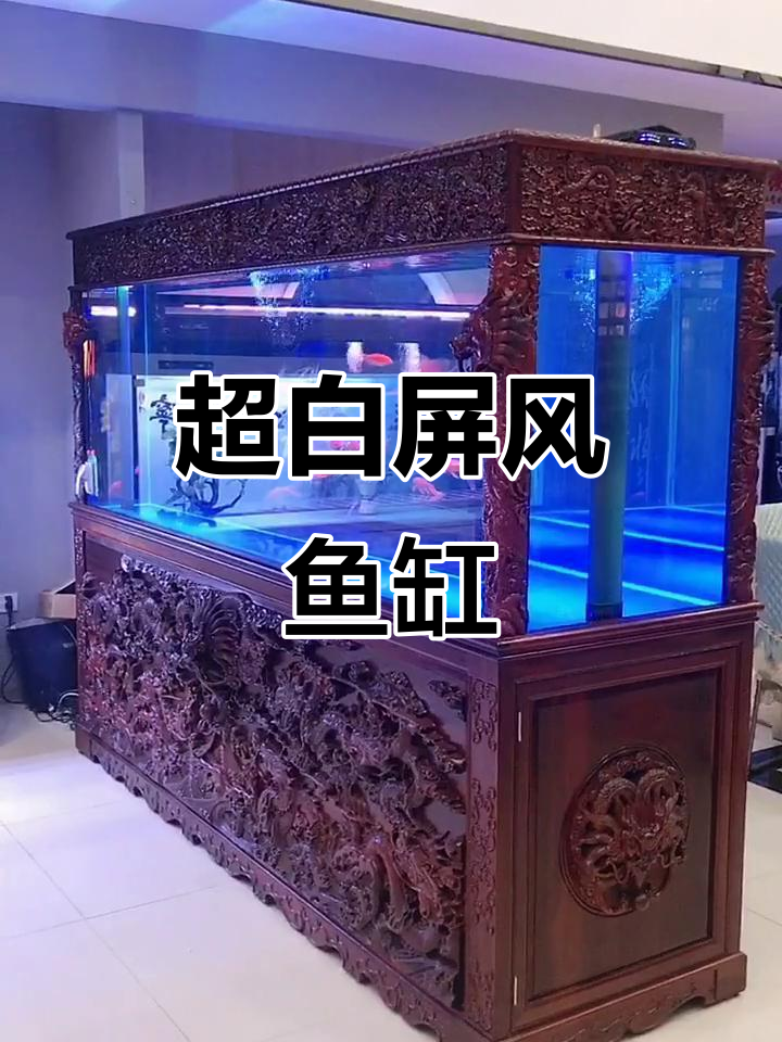 超白鱼缸屏风设计,龙鱼畅游其中