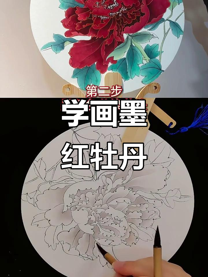墨红色牡丹工笔画教程,轻松学会