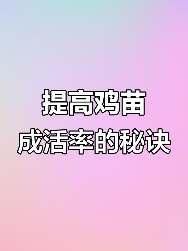 养殖新手必看:如何提高鸡苗成活率,轻松散养大红公鸡
