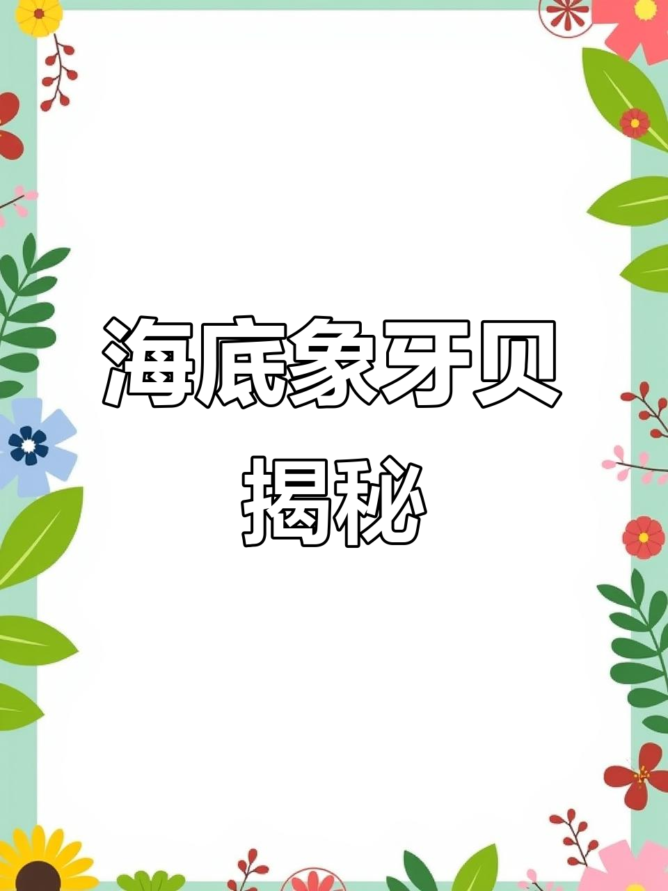 深海象牙贝：海底的“货币”与生态指示