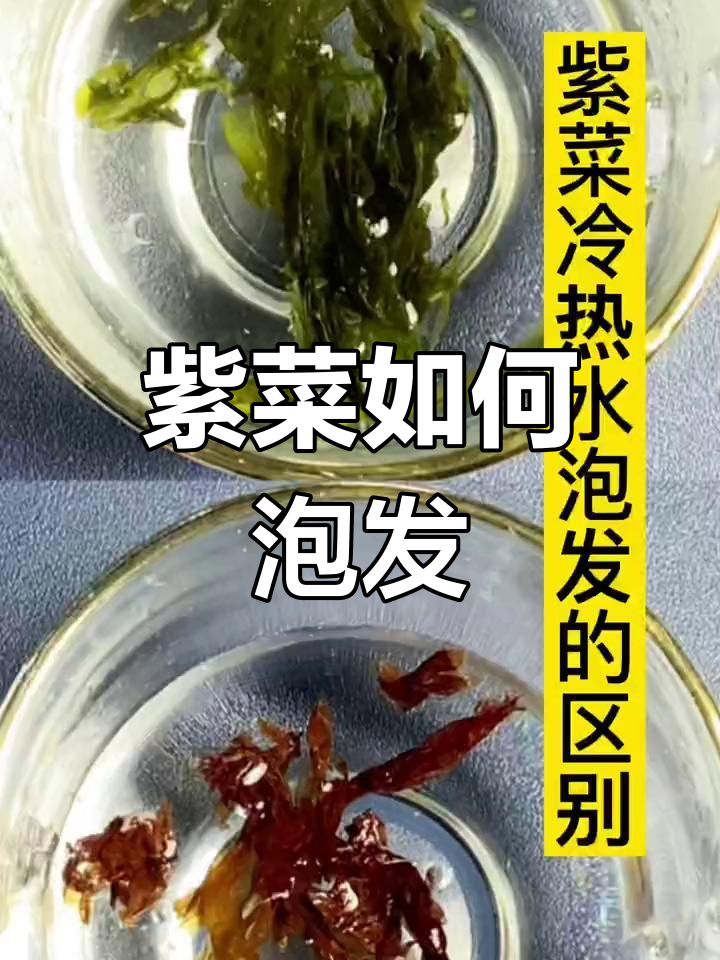 紫菜泡发技巧大揭秘,冷热水有何不同?