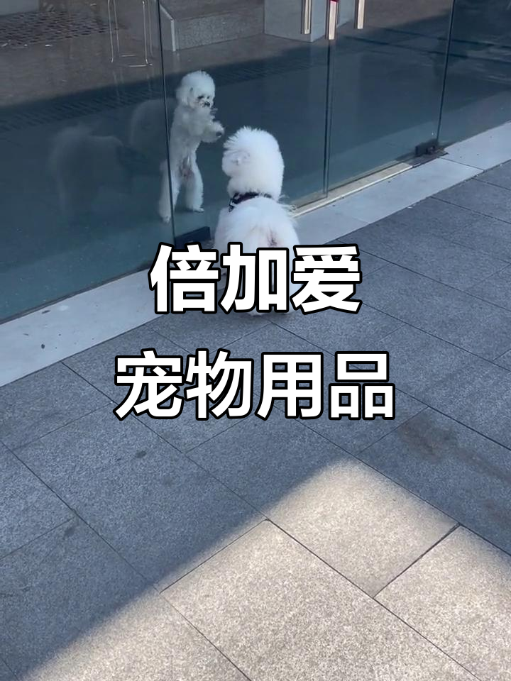 长沙开福区倍加爱宠物用品店,专业提供高品质产品