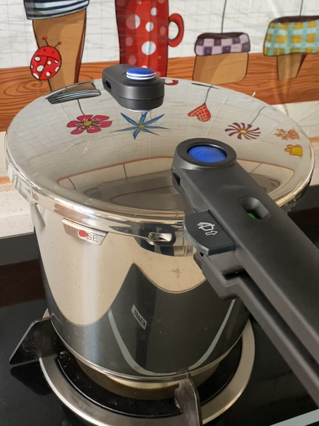 菲仕乐高压锅炖牛肉